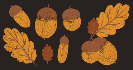 Autumn leaves and acorns set. Fall orange chalk drawing forest collection. Pencil texture freehand childish elements set. Crayon textured kids isolated vector illustration  © Marharyta