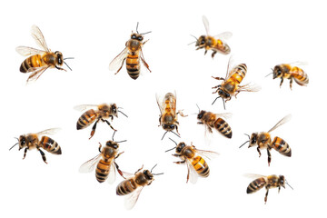 Energetic Music Festival Poster. Colorful and dynamic music festival event concept