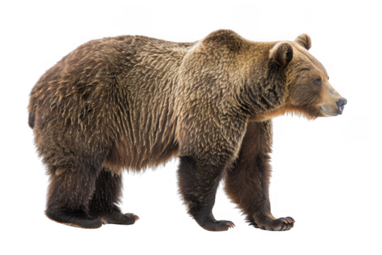 Bold and dynamic artistic creation. Creative artistic concept