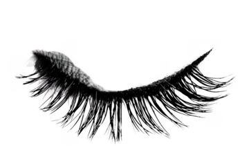 Creative Collaboration on Digital Platform. Teamwork concept