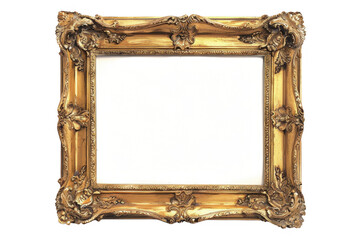 Explore the lush and vibrant world of the jungle. Tropical paradise concept