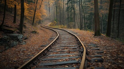 Autumnal Train Tracks Winding Through a Misty Forest