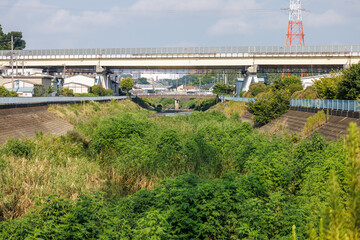 Fototapeta premium 堆積した土砂と雑草に覆われた都市を流れる河川