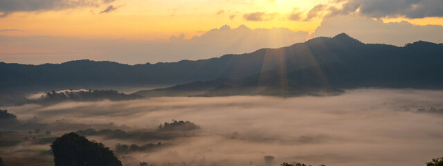 Banner Beautiful Mountain landscape foggy mountain green landscape morning sunrise. Amazing Landscape mountain green tropical forest tree on sunrise. Banner forest sunlight scenery with copy space