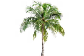 Discover the beauty of calm nature. Serene landscape concept