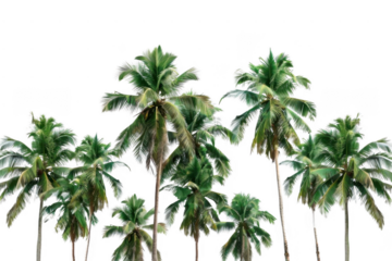 Capturing the energy of a vibrant city. Urban jungle concept