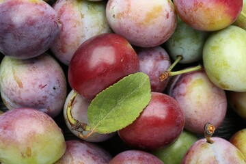 Many fresh plums and leaf as background, top view