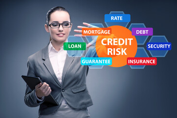 Credit risk concept in modern banking