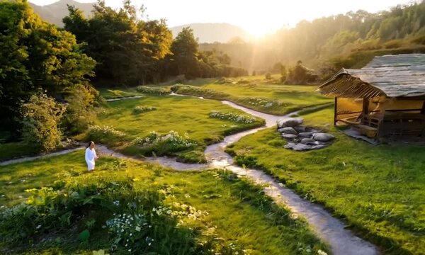 Discover Holistic Harmony: Your Journey to Natural Wellness
