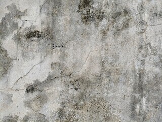 Cement wall texture