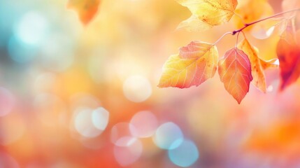 A vibrant autumn scene featuring colorful leaves against a soft, blurred background, capturing the essence of fall's beauty.