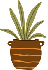 Hygge Plant