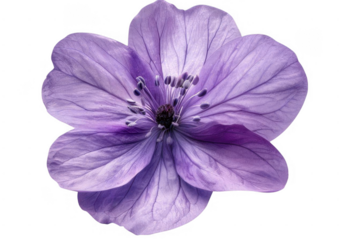 Serene sunset at the beach. Relaxation concept