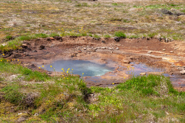 Geysir Iceland, small geysers developing in thermal field