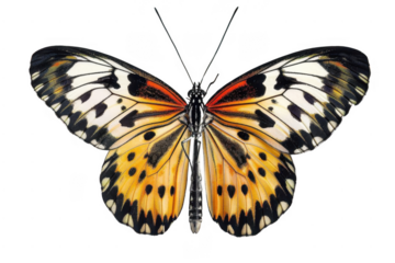 Capturing the thrill of discovery. Abandoned building exploration concept