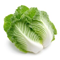 Whole Crisp Chinese Cabbage Napa Cabbage on Clean White Background