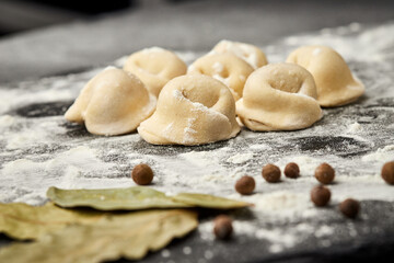 Handmade Ukrainian meat dumplings, ready for cooking, traditional varenyky with meat filling