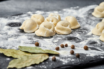 Handmade Ukrainian meat dumplings, ready for cooking, traditional varenyky with meat filling