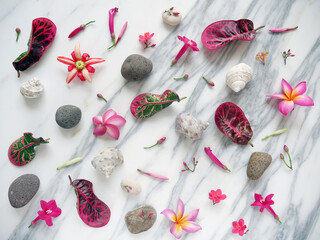 Background of a white marble with flowers, pebbles and seashells to add text