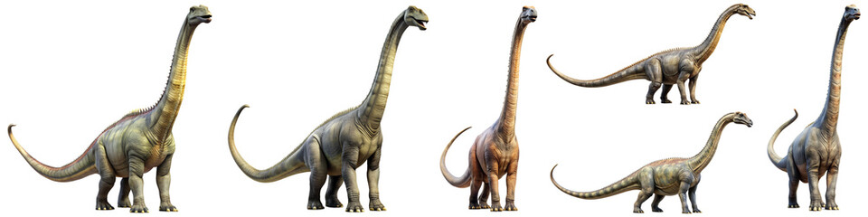 Fototapeta premium Brachiosaurus dinasour isolated on transparent background PNG file
