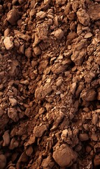 soil texture closeup, ground surface as background 