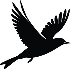 Silhouette bird flying