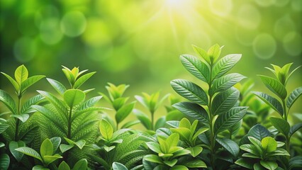 Green plants can improve health and well-being