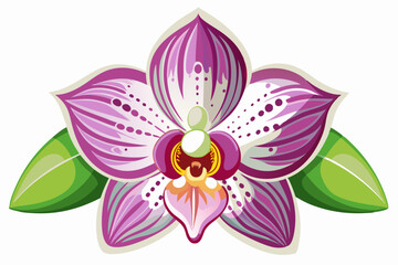A vibrant pink orchid blossom with green leaves