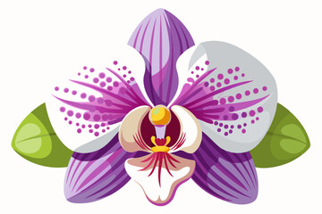 Purple and White Orchid Blossom with Green Leaves