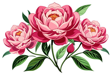 Pink and Red Flowers with Green Leaves on a White Background