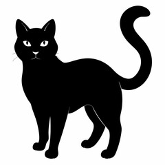 Cat silhouette, black silhouette cat full body, cat silhouette icon	
