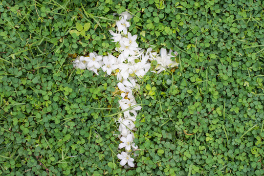 Ash wednesday cross, crucifix made of ash, dust as christian religion, Jesus, god, faith, holy, holiday,