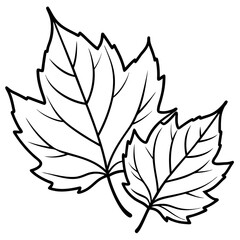 black and white leaf silhouette  vector illustration