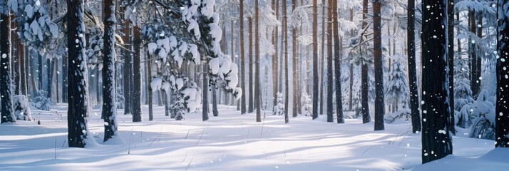 Snow-Covered Pine Forest in Winter