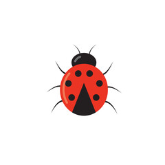 Ladybug cute character. Little red ladybird. Vector isolated on white.