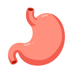 human stomach internal organ anatomy cartoon vector illustration template design