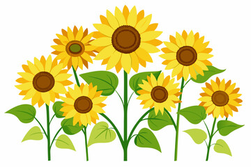 A cluster of seven sunflowers with green leaves and stems