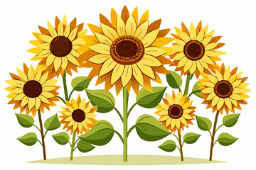 Obraz premium A Cluster of Yellow Sunflowers with Green Leaves