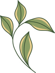 Hand-Drawn Leaf Illustration