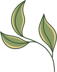 Hand-Drawn Leaf Illustration