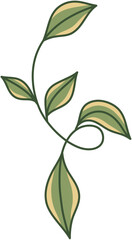 Hand-Drawn Leaf Illustration