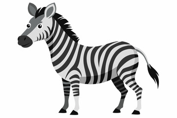 A Black and White Zebra with Stripes Standing on a White Background