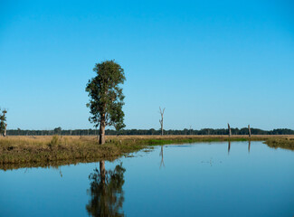 Australian outback wetland landscape