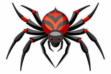 Black and Red Spider with Eight Legs