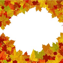 Obraz premium beautiful multicolored autumn leaves, a banner with a copy of the space for your advertising, autumn discounts, sale