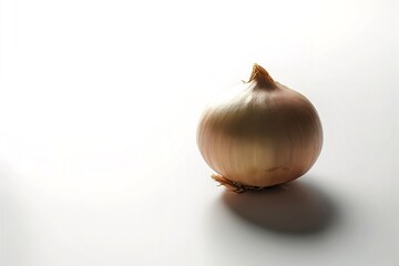 A pristine, high-quality photography of a single onion sitting on a white surface