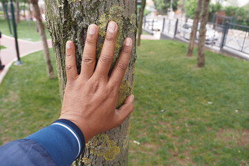 Establish a connection with nature through gently touching the bark of a tree in a peaceful park