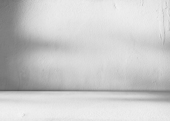 Background wall floor shadow grey leaf white light kitchen abstract studio product minimal room marble mockup display stage scene platform shelf space pattern backdrop table autumn summer travel.