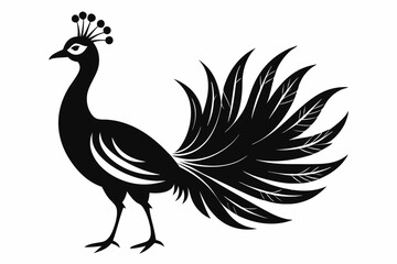 Obraz premium Peacock silhouette vector illustration