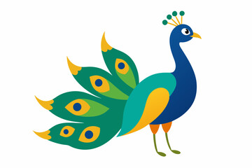 Peacock vector illustration